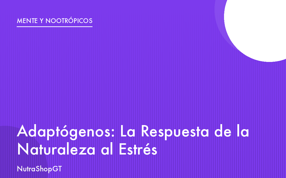 Adaptógenos: La Respuesta de la Naturaleza al Estrés